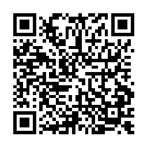 苏凡还是决定以后在这种事情上不能跟刺刀太过计较了二维码生成