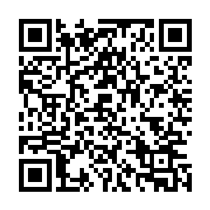 苏凡还有龙王便直接带着两人朝着明珠市的特产售卖点走去二维码生成