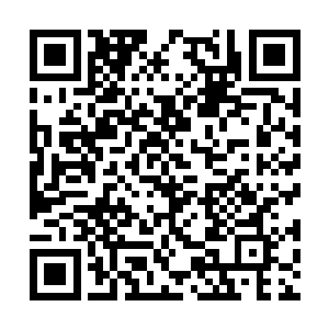 苏凡这么久没有回来很有可能是苏凡出了什么事情二维码生成