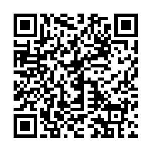 苏凡都要在这两大家族出手之前将洛水嫣还有苏媛媛救出来二维码生成
