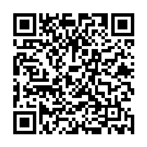 苏南市这些有资历的房地产开发企业一个个都有些骄傲自满二维码生成