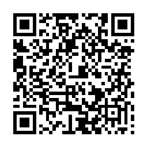 苏博臣多少对这个孩子也是有了一些主观上面的判断二维码生成