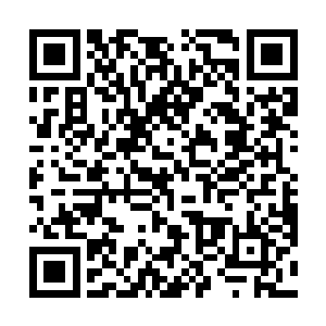 苏叶差不多能够回忆起那位笑容很美的玲玲院长的样貌二维码生成
