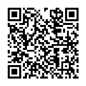 苏叶此时所展现的仅仅是以自我为中心的思考方式二维码生成