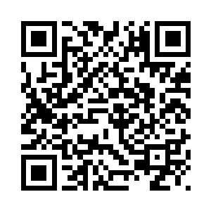 苏叶脸上又从新挂起了坏坏的笑容二维码生成