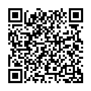 苏培盛的脸上不知道为什么变得无比的复杂了起来二维码生成