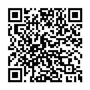 苏墨尘…以前怎么没发现你的爱好还这么特殊…二维码生成