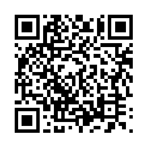 苏墨尘一到家便拨通了一个他不想拨通的电话二维码生成