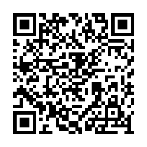 苏墨尘悲哀地望着她和旁边木马上的小帅哥说笑二维码生成