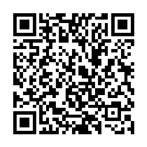 苏姐能帮着联系一批有兴趣收藏中国古字画的商人吗二维码生成