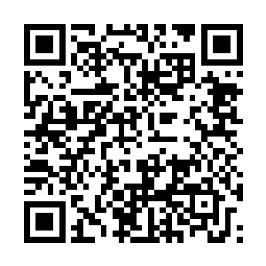 苏姑娘故意将自己身上的皇级凝血丹栽赃给叶倾城二维码生成