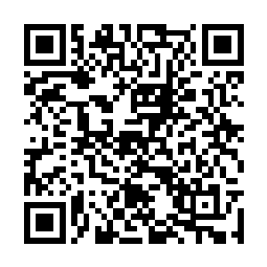 苏婧语揉揉耳朵没好气的用扇子往她头上敲了一记二维码生成