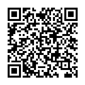 苏嫣突然从自己的怀中颤颤巍巍的掏出来了一道符咒二维码生成