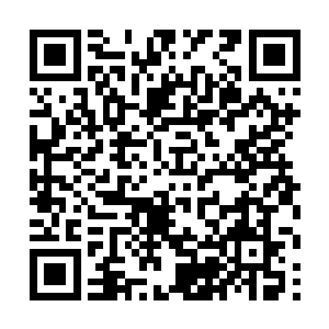 苏家就立即被以第七战将为首的异能者给控制了起来二维码生成