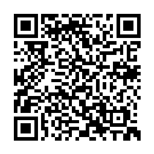 苏家已经发散人手寻找这个叶枫找了大半个月了二维码生成