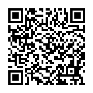 苏家或许仅是苏老太公能够拥有更强大的压迫感二维码生成