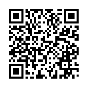 苏家的规模已经到了输不起的时候了二维码生成