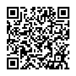 苏家这边的孩子倒还真的就没有要去招惹的意思二维码生成