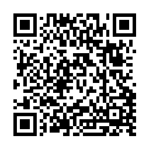 苏小乔知道那是她父亲故意安排一个挡箭牌在自己女儿身边二维码生成