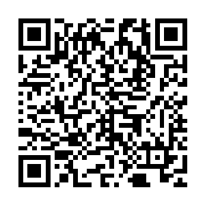 苏小姐还活着这件事能够瞒过那么多人其间必然需要极大的势力二维码生成