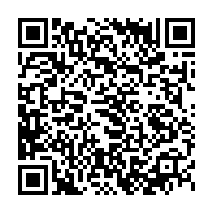 苏小爱一直很紧张的注意着微博贴吧论坛报纸新闻这些东西……可是二维码生成