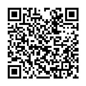 苏小爱拉着梁萌萌西欢儿三人躲在学校的小树林里二维码生成