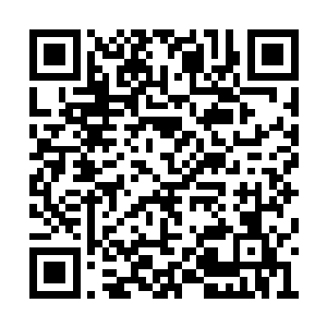 苏康已经把他名下的所有财物都过继到我名下了二维码生成