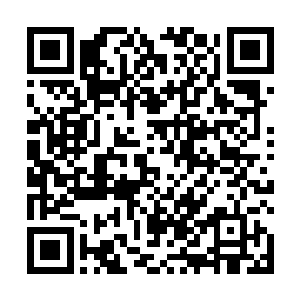 苏念白回来的时候就看见我像一个兔子一样窝在被窝里二维码生成