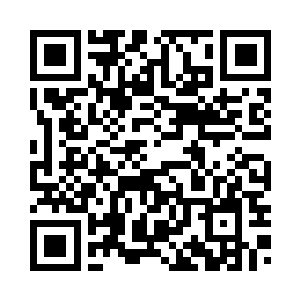 苏文也可以获得六百多万的净收入二维码生成