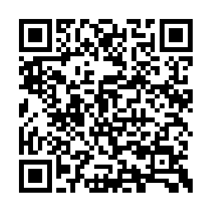 苏文定等人与这次过来的几名矾楼女子也是旧识二维码生成