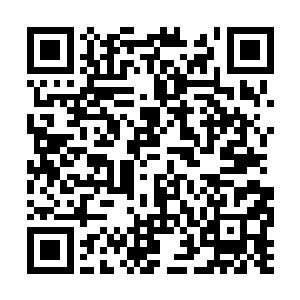 苏文昱正与檀儿等人为这段时间发生的事情在聊天二维码生成