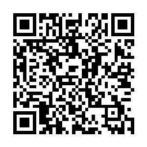 苏林与墨呈再次并肩站在了那漆黑而不见底的深渊地洞当中二维码生成