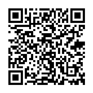 苏林两人最后居然来到了之前的那个小山谷当中二维码生成