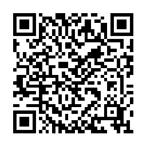 苏林亲眼看着一个远在数百米之外的五阶感染者二维码生成