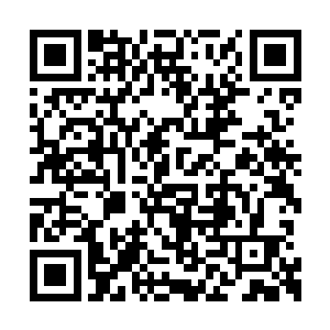苏林便耐心的将有关通天巨塔的信息誊抄了一遍二维码生成