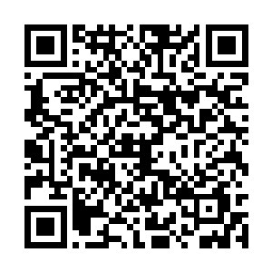 苏林发现自己根本没办法和红袍会的疯子正常交流二维码生成