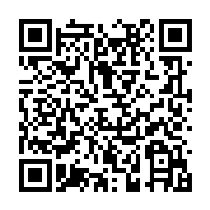 苏林只感到一股无法抵挡的力量贯穿了自己的身体二维码生成