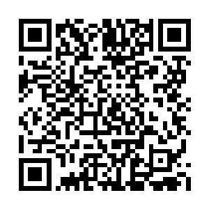 苏林可没有把所有的希望都放在纳兰雪的良心上二维码生成