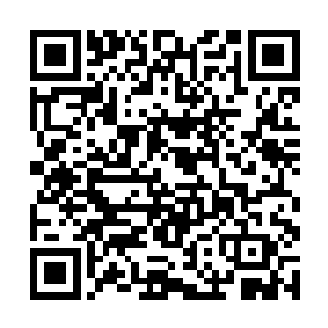 苏林小心翼翼的将这颗半生舍利子放进一个瓷瓶当中二维码生成