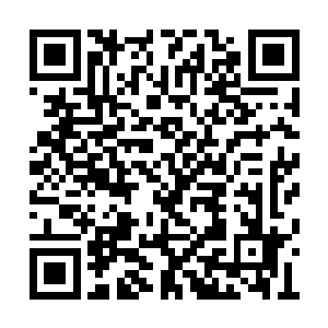 苏林已经成功的体验了第一种白色迷失雾的效果二维码生成