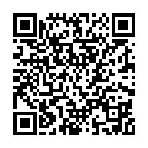 苏林悄悄开启窥天神目去查探穆元长老体内灵气二维码生成