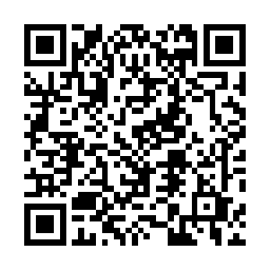 苏林正与南肖潇坐在某个隶属于叶律世家的顶级大酒楼内二维码生成