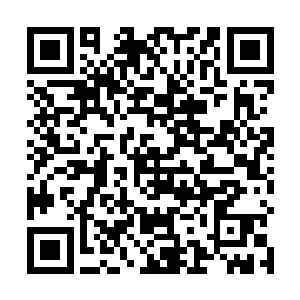 苏林毫无保留的将所有神魂力量全部都包裹在种子上面二维码生成