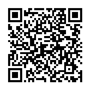 苏林甚至可以感受到夜魔冰冷的目光正凝视自己的后颈二维码生成