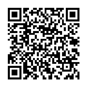 苏林甚至能够感受到徐娇娇眼神中传来的愤怒火焰二维码生成