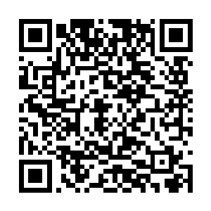 苏林用那六目狼蛛的断腿在任务卷轴上沾染了血液二维码生成