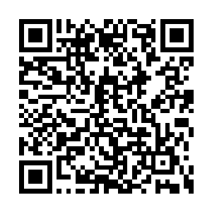 苏林的解字诀就可以提前预判到屠龙剑芒的走向二维码生成
