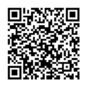 苏林直接是将元气手掌与剑芒尽数吸入了左手掌心当中二维码生成