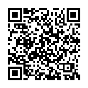 苏林都明确感受到脚下的地面猛烈的跳动了一次二维码生成