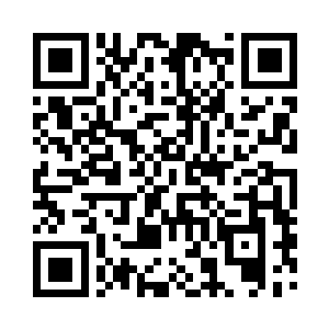 苏林都能感受到大狮子在自己手上动作时二维码生成